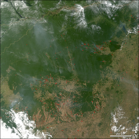  PF usa dados de satélite em ação contra desmatamento na Amazônia