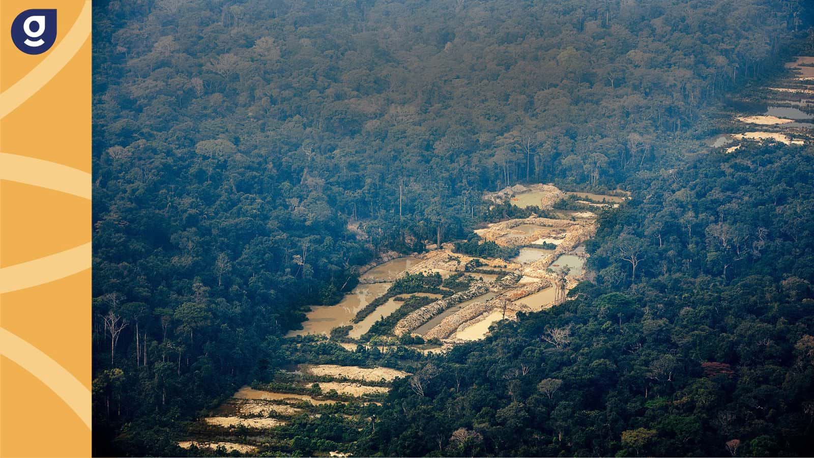 Metade da área de garimpo de ouro em 2020 era ilegal Amazônia Azul